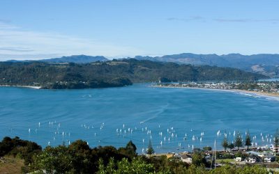 All About Whitianga