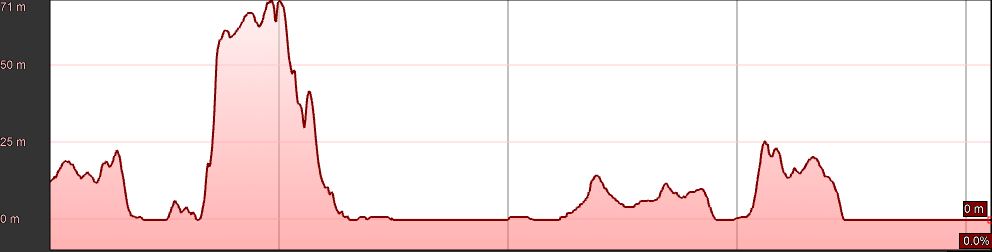 10km profile